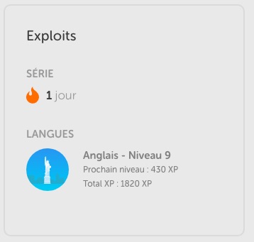 Niveau Duolingo