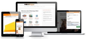 Test et avis Mosalingua